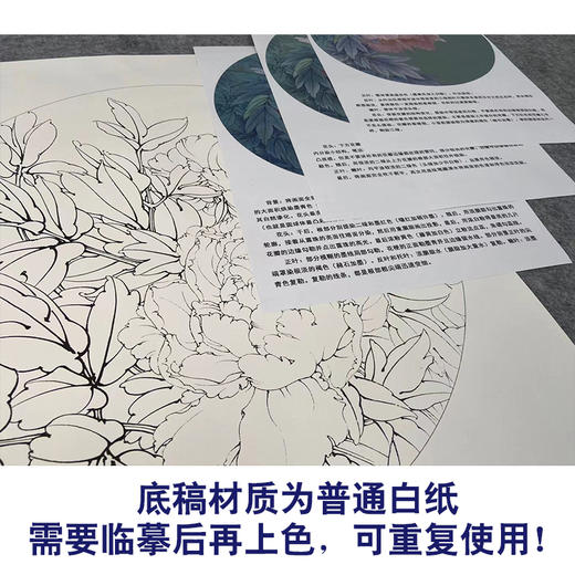 【有步骤、大彩图】工笔画白描底稿《酒醉杨妃》牡丹花鸟线稿KG10 商品图3