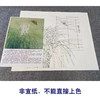 【有步骤、大彩图】李晓明工笔画白描底稿小品《兰花虎斑蝶》KG12 商品缩略图2