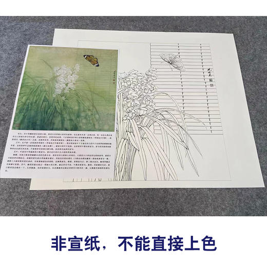 【有步骤、大彩图】李晓明工笔画白描底稿小品《兰花虎斑蝶》KG12 商品图2