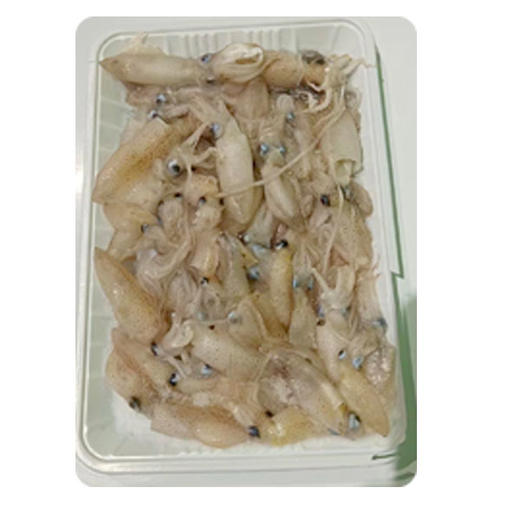 【5.9元/盘】丑眼（盘）（1501953） 商品图0