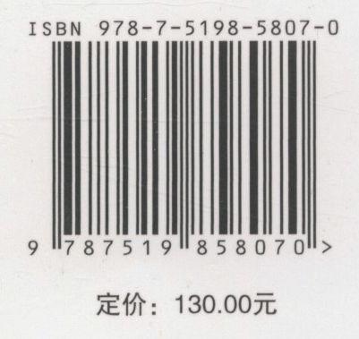 中亚能源互联网研究与展望 商品图2