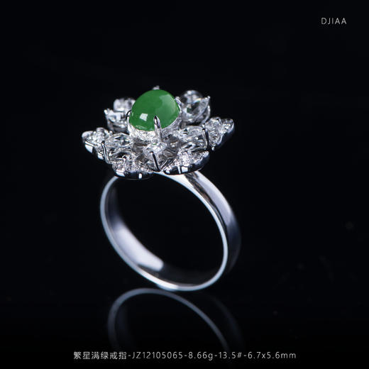 【繁星】满绿戒指坠子两用款-JZ12105065 商品图1