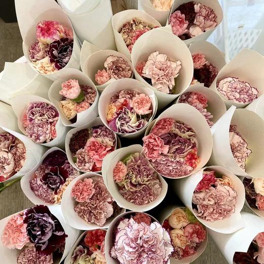 哥伦比亚-【5-7色混色康乃馨】 商品图1