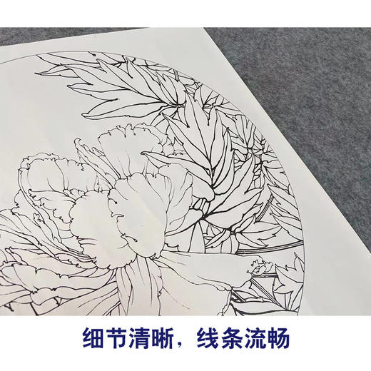 【有步骤、大彩图】工笔画白描底稿《国色双辉》牡丹花鸟线稿KG08 商品图4