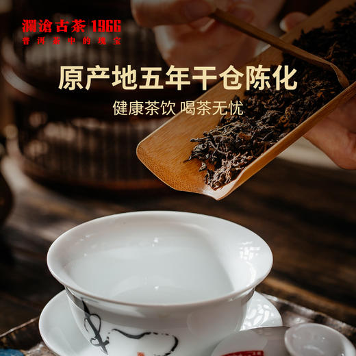 澜沧古茶2021年古木香5年陈普洱茶熟茶翘散茶150g 商品图1