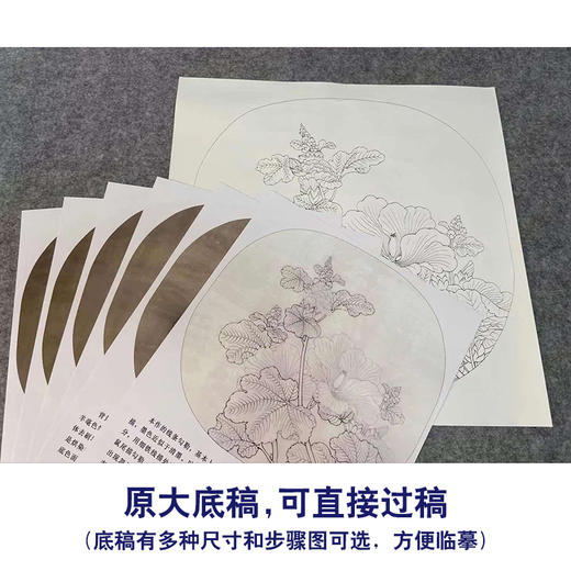 【有步骤、大彩图】李晓明工笔画白描底稿小品《临宋蜀葵图》KG13 商品图1