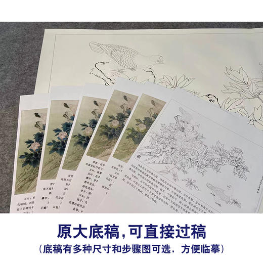【有步骤、大彩图】工笔画白描底稿《春光明媚》牡丹花鸟线稿KG02 商品图1