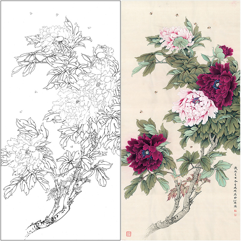 【有步骤、大彩图】工笔画白描稿《二乔春满园》牡丹花鸟线稿KG03