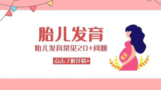 胎儿发育 商品图0