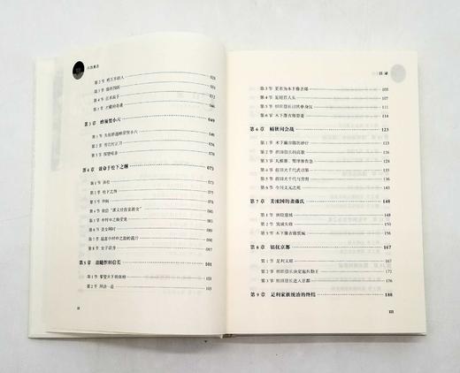 全景插图版：《丰臣秀吉》，精装 商品图5