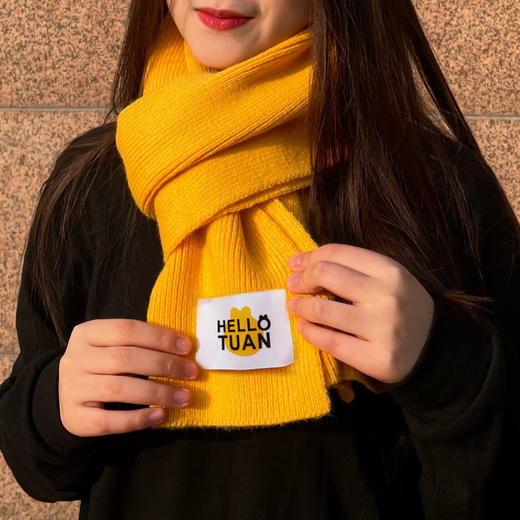 秋冬小团针织围巾 商品图1