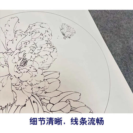 【有步骤、大彩图】李晓明工笔花鸟画白描底稿牡丹花小品《牡丹蛱蝶图》KG15 商品图4