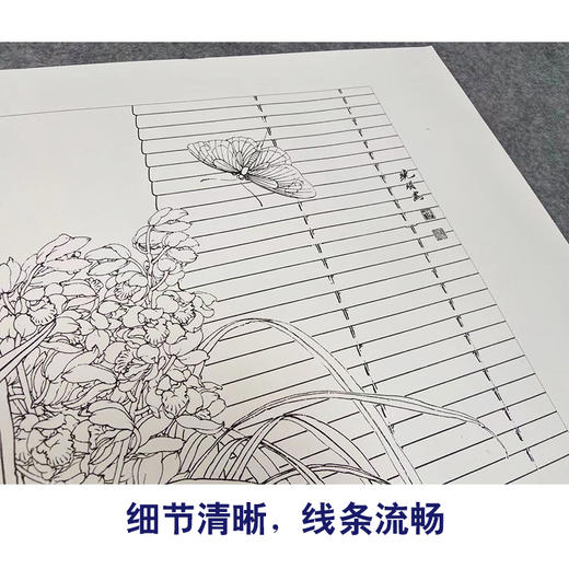 【有步骤、大彩图】李晓明工笔画白描底稿小品《兰花虎斑蝶》KG12 商品图4