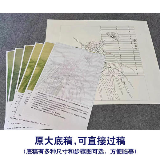 【有步骤、大彩图】李晓明工笔画白描底稿小品《兰花虎斑蝶》KG12 商品图1