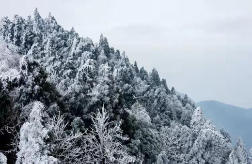 湖南·五岳独秀赏雾凇，雪域衡山拍摄2天游 商品图3