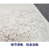 【有步骤、大彩图】工笔画白描底稿《福临家门》牡丹花鸟线稿KG06 商品缩略图4