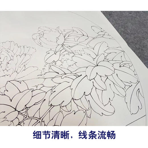 【有步骤、大彩图】工笔画白描底稿《福临家门》牡丹花鸟线稿KG06 商品图4
