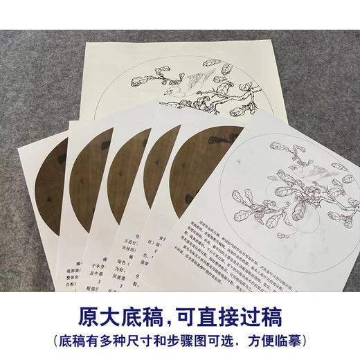 【有步骤、大彩图】工笔画白描稿橘子麻雀临摹勾线花鸟线稿KG11 商品图1