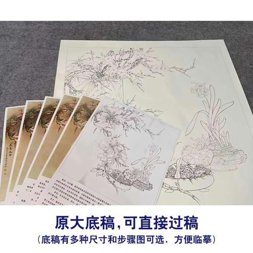 【有步骤、大彩图】李晓明工笔花鸟画白描底稿斗方《美意连年》梅花兰花临摹勾线花鸟线稿KG14 商品图1