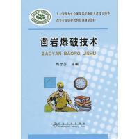 凿岩爆破技术/刘念苏 商品图0