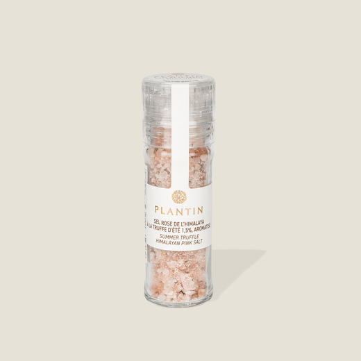 法国普朗丹牌夏季黑松露调味盐（调味品）100g 商品图0
