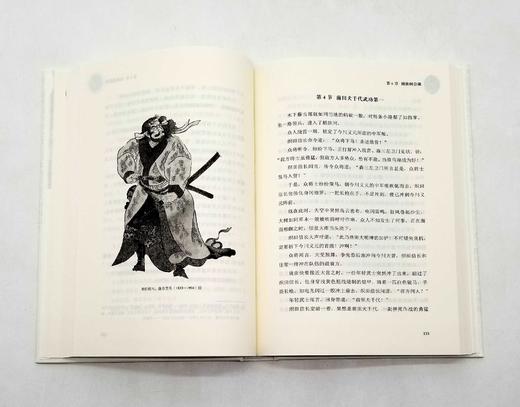 全景插图版：《丰臣秀吉》，精装 商品图8