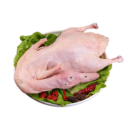 活鸭【宰杀】【1.6kg—1.7kg】 商品图2