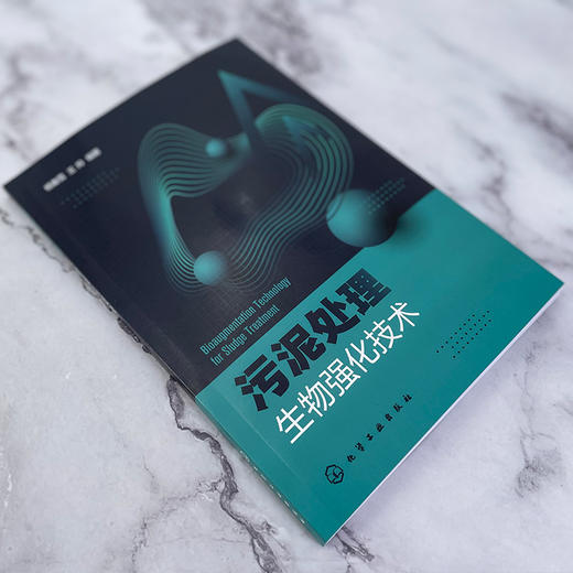 污泥处理生物强化技术 商品图5