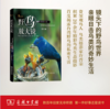 野鸟放大镜住行篇(自然观察丛书) 许晋荣 商务印书馆 商品缩略图0