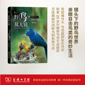野鸟放大镜住行篇(自然观察丛书) 许晋荣 商务印书馆