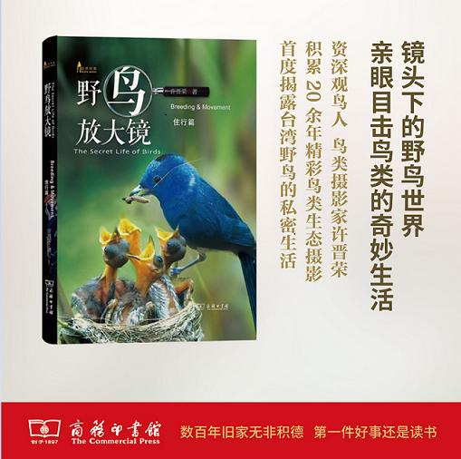 野鸟放大镜住行篇(自然观察丛书) 许晋荣 商务印书馆 商品图0