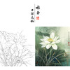 【有步骤、大彩图】李晓明工笔画白描底稿《荷韵》荷花初学者临摹花鸟线稿KE17 商品缩略图0