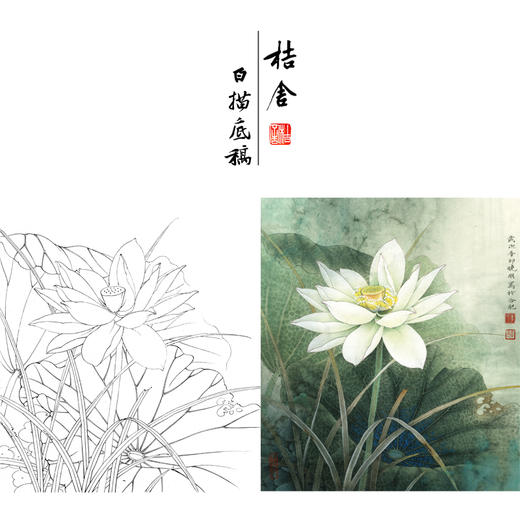 【有步骤、大彩图】李晓明工笔画白描底稿《荷韵》荷花初学者临摹花鸟线稿KE17 商品图0
