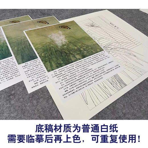 【有步骤、大彩图】李晓明工笔画白描底稿小品《兰花虎斑蝶》KG12 商品图3
