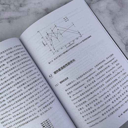 污泥处理生物强化技术 商品图4