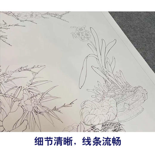 【有步骤、大彩图】李晓明工笔花鸟画白描底稿斗方《美意连年》梅花兰花临摹勾线花鸟线稿KG14 商品图4