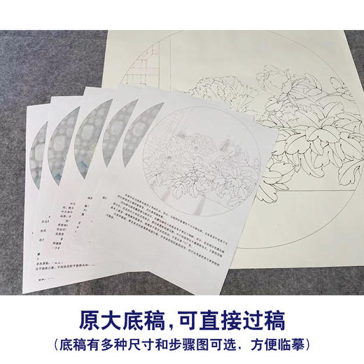 【有步骤、大彩图】工笔画白描底稿《福临家门》牡丹花鸟线稿KG06 商品图1