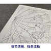 【有步骤、大彩图】李晓明工笔画白描底稿小品《亘古》荷花初学者临摹花鸟线稿KE16 商品缩略图4