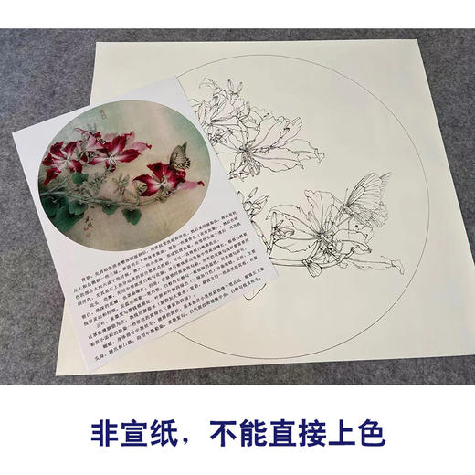 【有步骤、大彩图】工笔画白描底稿《凤蝶紫荆花》花鸟线稿KG05 商品图2