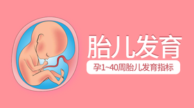孕40周胎儿发育