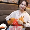 OLYCAT1953暖手宝充电防爆暖宝宝冬季注水毛绒暖水袋可拆洗 商品缩略图1