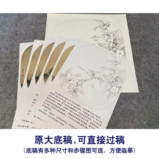 【有步骤、大彩图】工笔画白描底稿小品《海棠白头》花鸟线稿KG09 商品图1