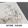 【有步骤、大彩图】工笔画白描底稿小品《海棠白头》花鸟线稿KG09 商品缩略图4