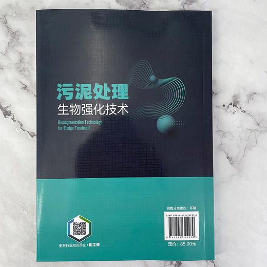 污泥处理生物强化技术 商品图3