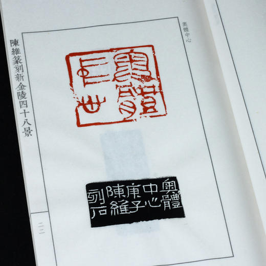 陈维篆刻  原拓版《陈维篆刻新金陵四十八景印谱》 金石印坊钤拓 仅7部 商品图4