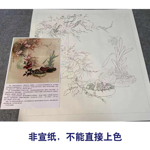 【有步骤、大彩图】李晓明工笔花鸟画白描底稿斗方《美意连年》梅花兰花临摹勾线花鸟线稿KG14 商品图2