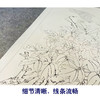 【有步骤、大彩图】工笔画白描底稿《春光明媚》牡丹花鸟线稿KG02 商品缩略图4