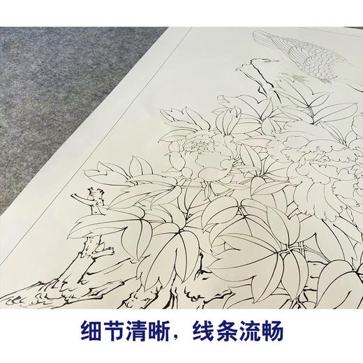 【有步骤、大彩图】工笔画白描底稿《春光明媚》牡丹花鸟线稿KG02 商品图4