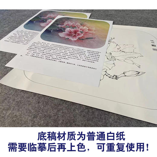 【有步骤、大彩图】工笔画白描底稿《粉紫荆》紫荆花花鸟线稿KG04 商品图3