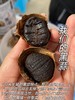 黑蒜头独头蒜零食特级正宗即食零食黑大蒜发酵蒜2罐起售 商品缩略图4